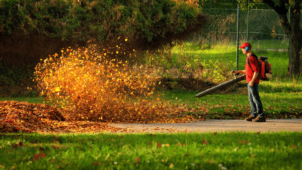 Backpack Leaf Blower: The Best Way To Clean Up Leaves in 2023