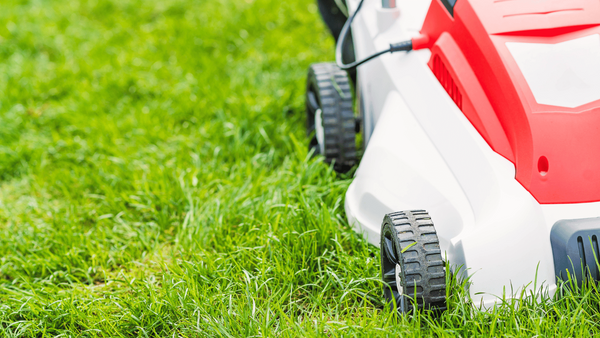 2023 Best Corded Electric Lawn Mower: Get A Cut Above The Rest