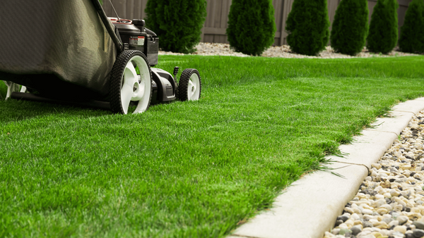 Say Goodbye to Bagging: The Best Mulching Lawn Mowers of 2023