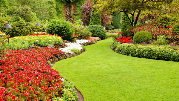 Get a Perfectly Manicured Lawn with the Best Lawn Edgers of 2023